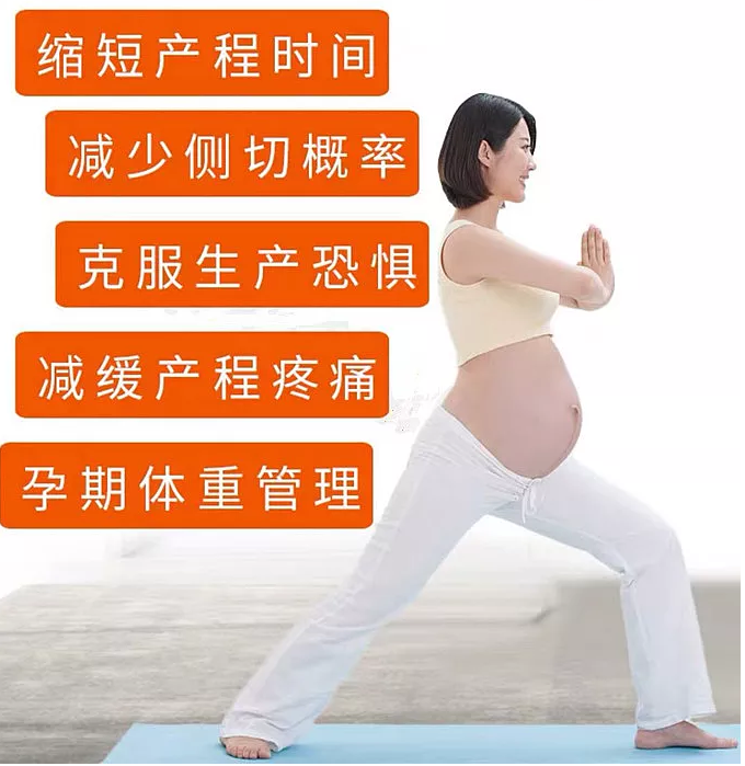 全套产后瑜伽教学视频教程_孕妇瑜伽视频教程-2