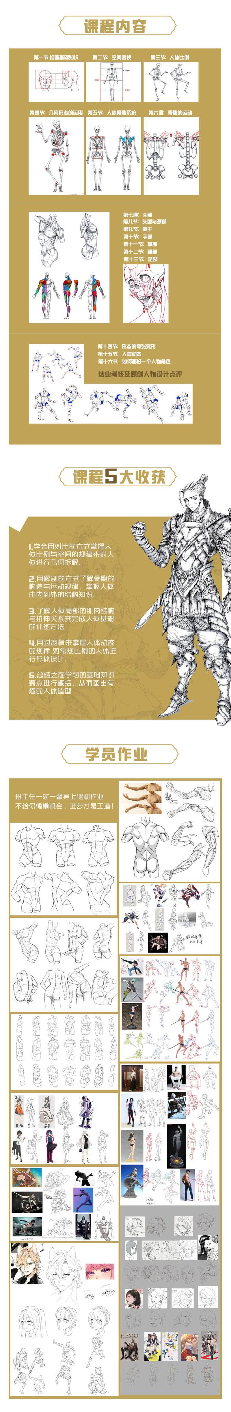 MZ蒙子 人体结构基础特训