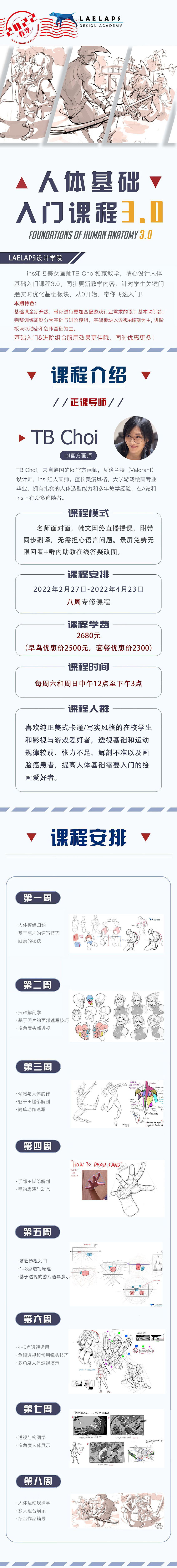 莱普斯 TB-Choi 人体基础入门课程3.0