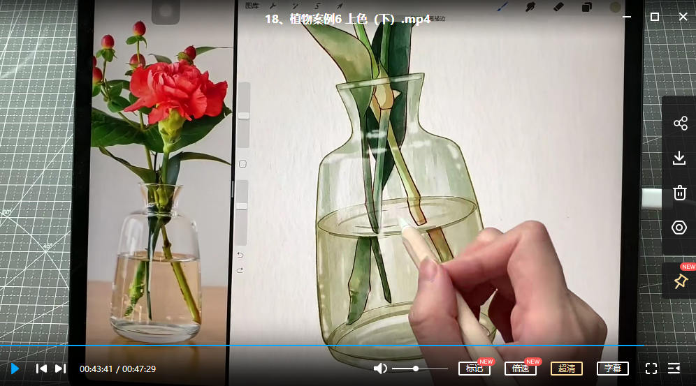 鱼小沫iPad综合团练植物+少女