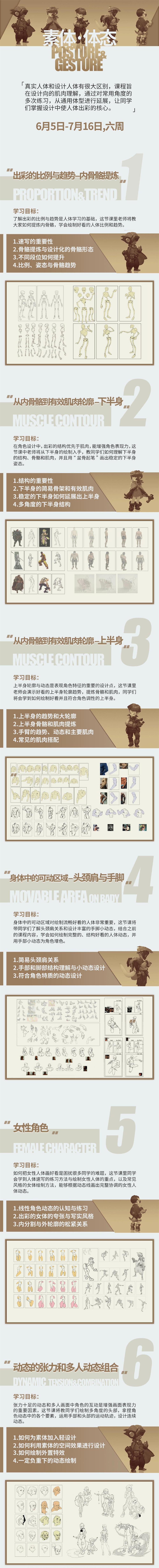 蚂蚁八手王素体体态4期