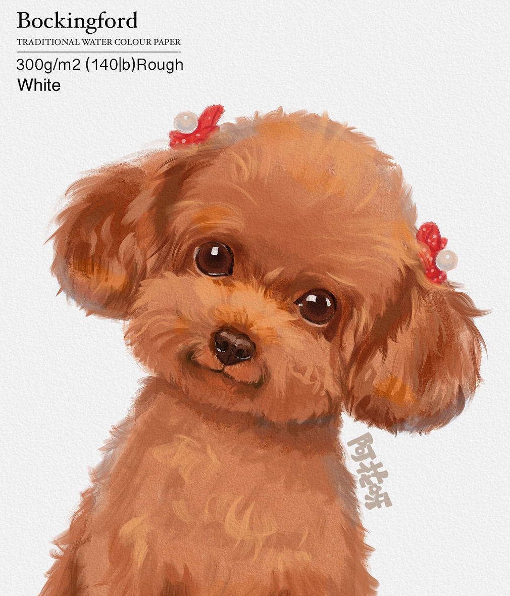 2021年阿花宠物团练7月完结ipad插画课【带笔刷素材】