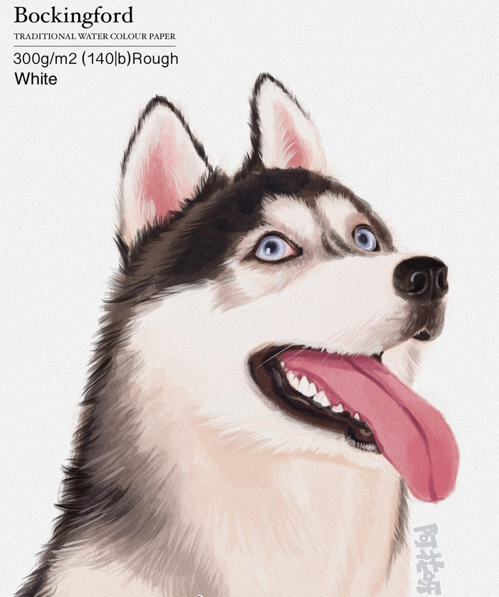 2021年阿花宠物团练7月完结ipad插画课【带笔刷素材】