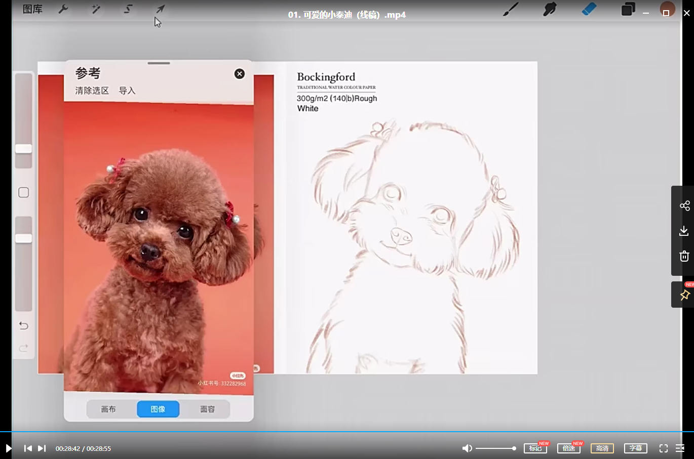 2021年阿花宠物团练7月完结ipad插画课【带笔刷素材】
