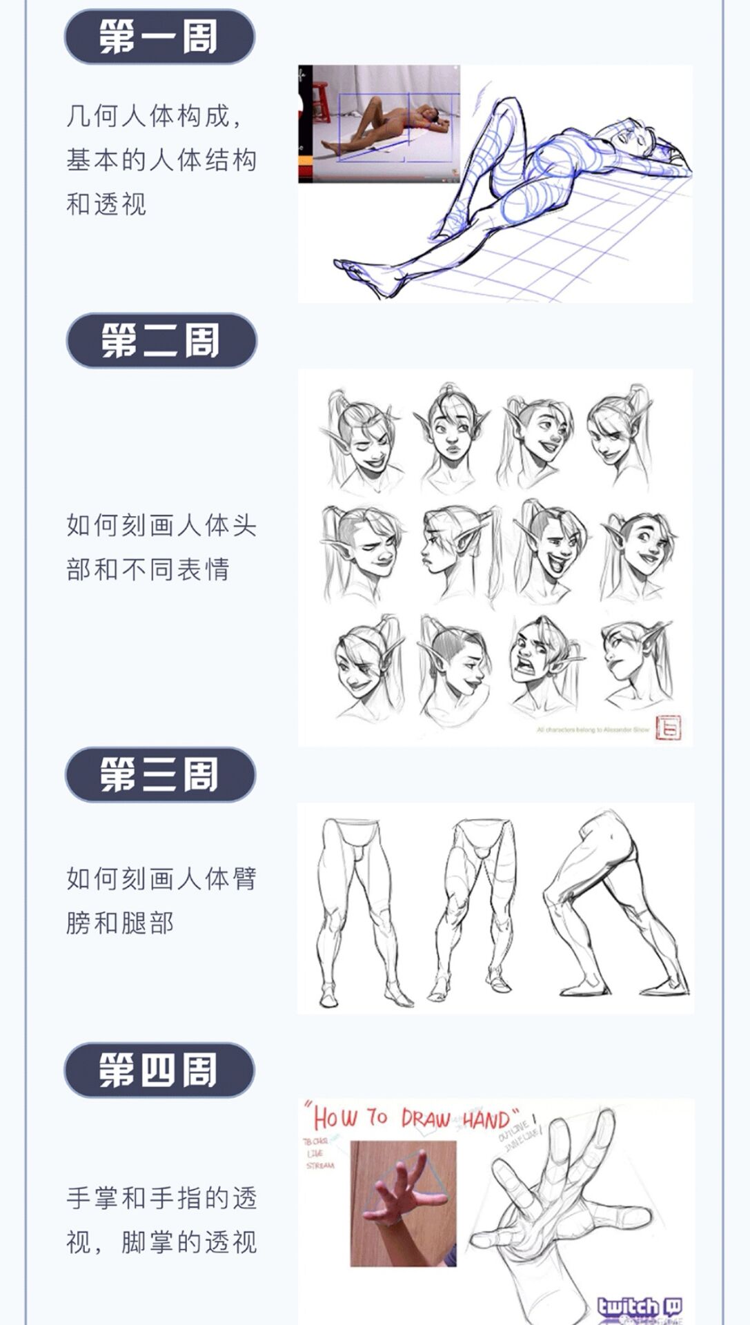 Laelaps莱普斯TB-Choi人体基础进阶教程2020年10月完结