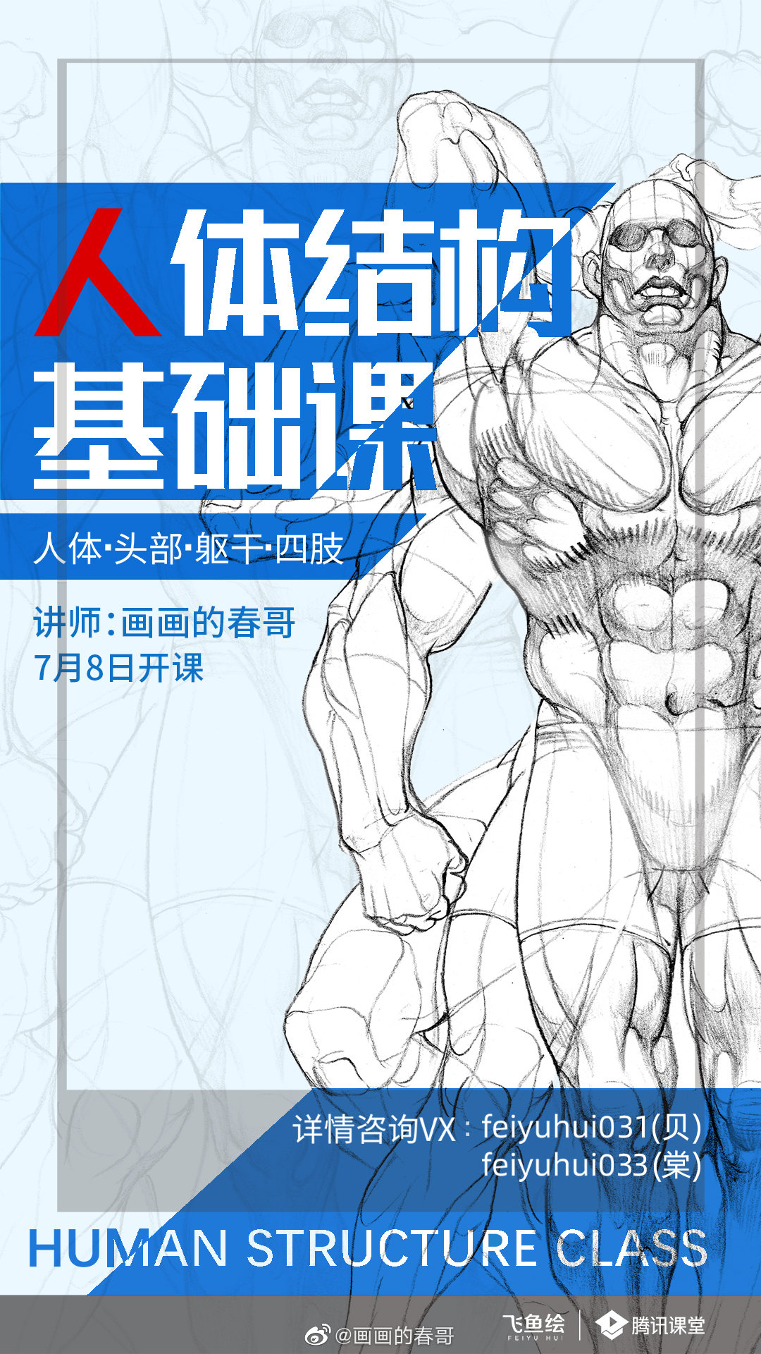 画画的春哥人体基础结构2021年完结