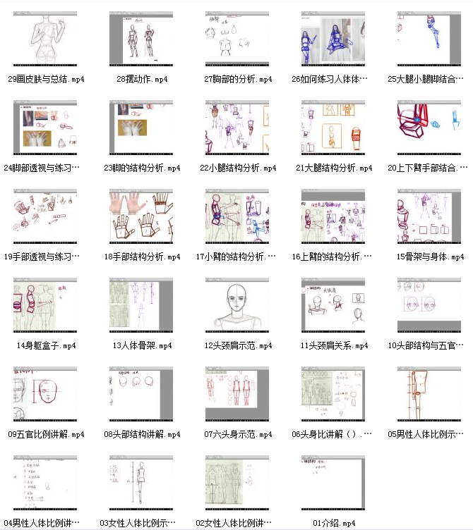 轻微课【小粉菇】人体结构与比例初级入门之动漫绘制基础课程插图1