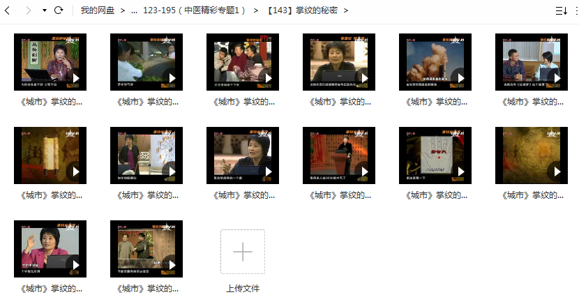 王晨霞《城市》掌纹的秘密视频插图1