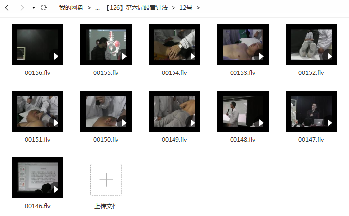 第六届岐黄针法讲座视频插图2