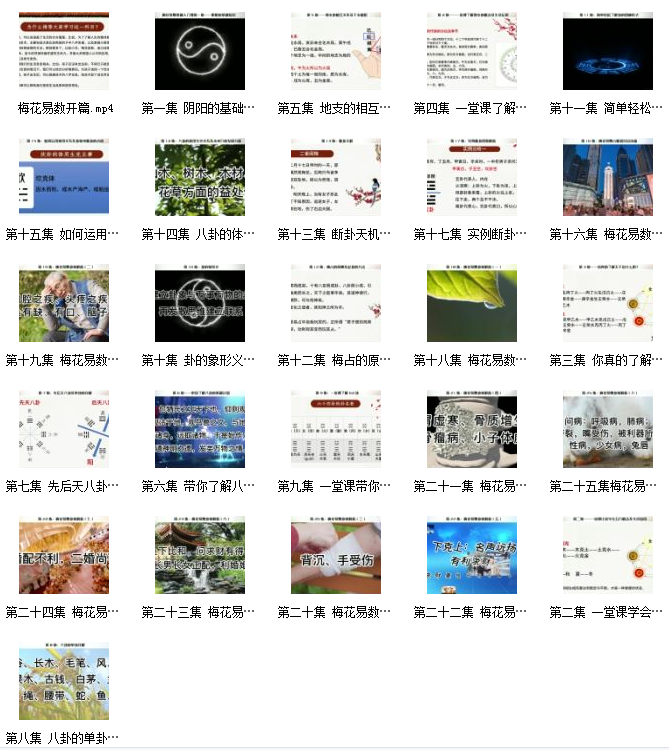 徐丙昕梅花易数视频插图1
