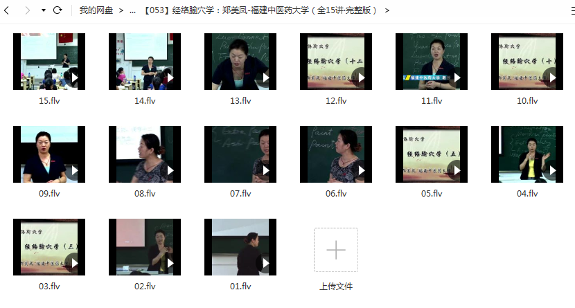 福建中医药大学郑美凤经络腧穴学插图1