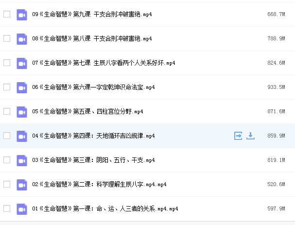 宽元堂盲派八字象法班视频插图