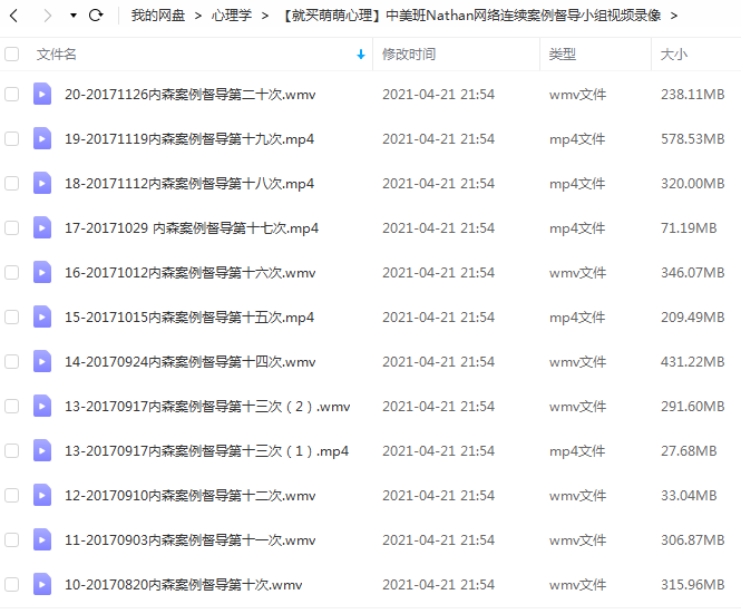 中美班Nathan网络连续案例督导小组视频录像插图