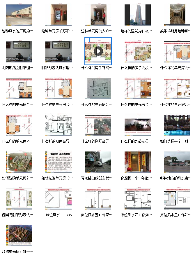 傅国清阴阳法风水视频教程插图2