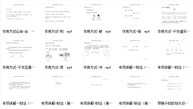 任付红民间盲派八字视频插图1