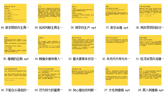 刘易铭数字全息八字化命理高级实战课程插图1