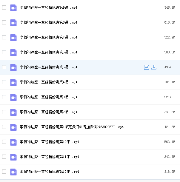 李佩袀达摩一掌经线上培训课程视频网课资源插图