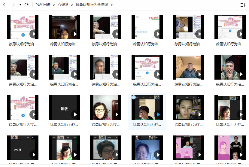 徐勇认知行为疗法培训网课资源.png