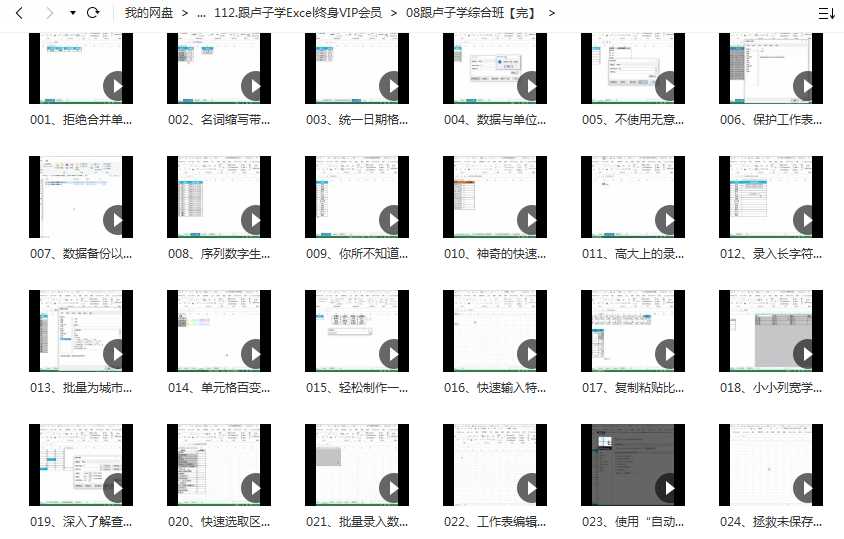 跟卢子学Excel综合班网课资源插图1