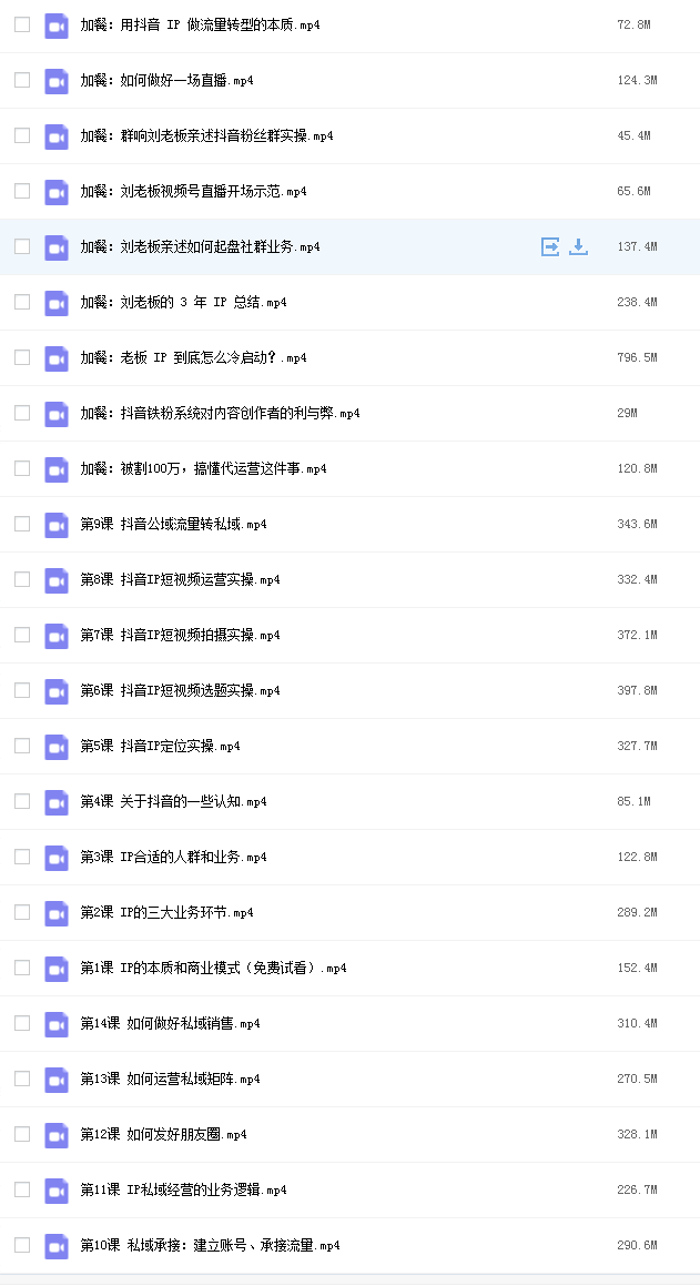 群响刘思毅的IP变现营网课资源插图