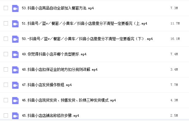 从零开始做抖音小店攻略插图