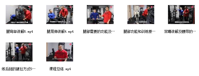 曹宇训练体系全集百度云资源插图1
