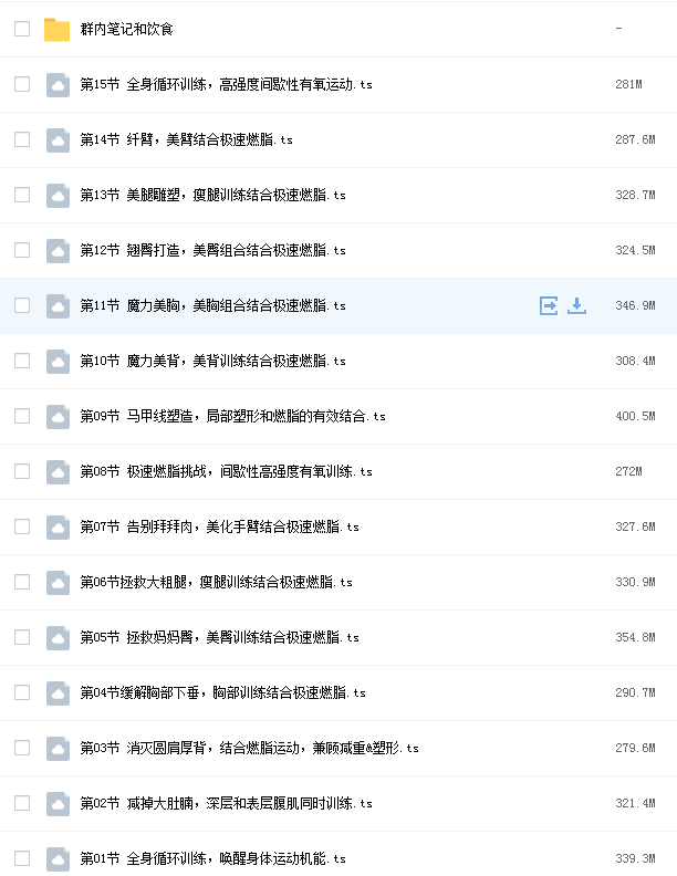 15天全身极速燃脂蜕变营网课资源插图
