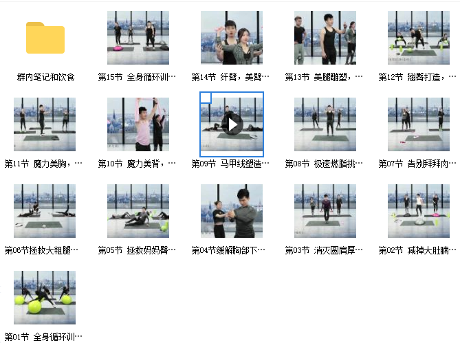 15天全身极速燃脂蜕变营网课资源插图1