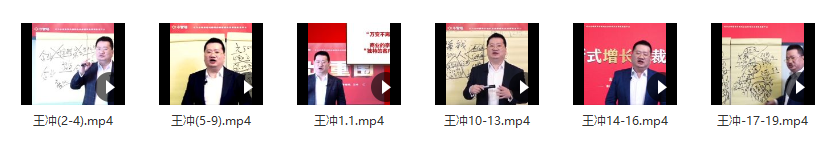王冲商业王道视频课：商业模式+团队管理+流量破局19节完整版插图
