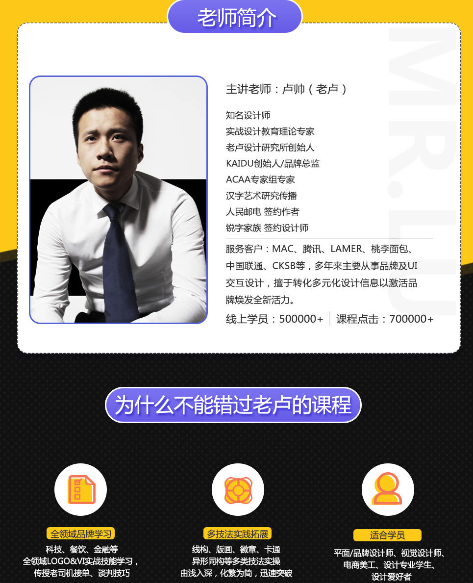 卢帅 商业LOGO-VI特训大师班（超清）