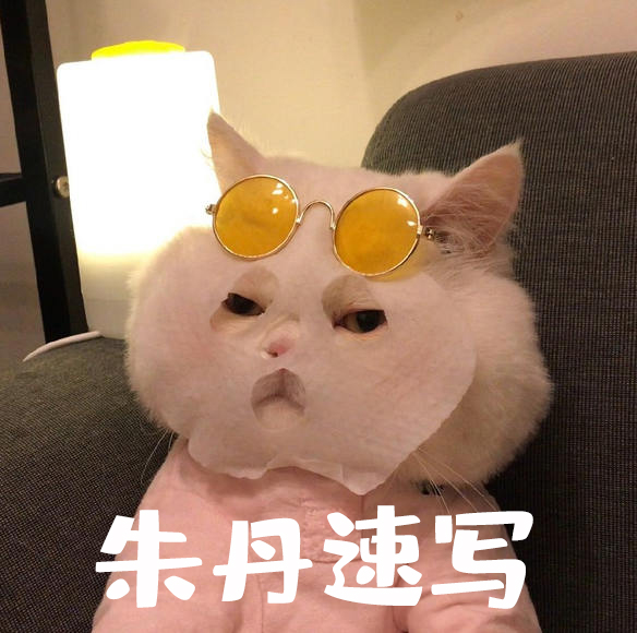 朱丹速写基础课【画质一般】插图