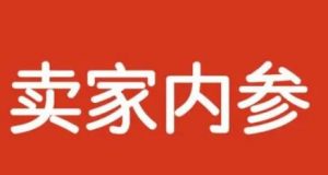 李大庆-卖家内参