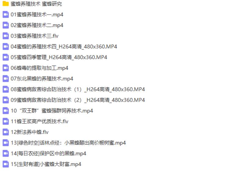 蜜蜂养殖技术养蜂教程大全3.06GB