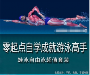 零起点自学游泳视频教程-蛙泳自由泳24集优惠套装 