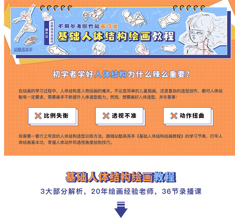 释开达基础人体结构绘画教程插图