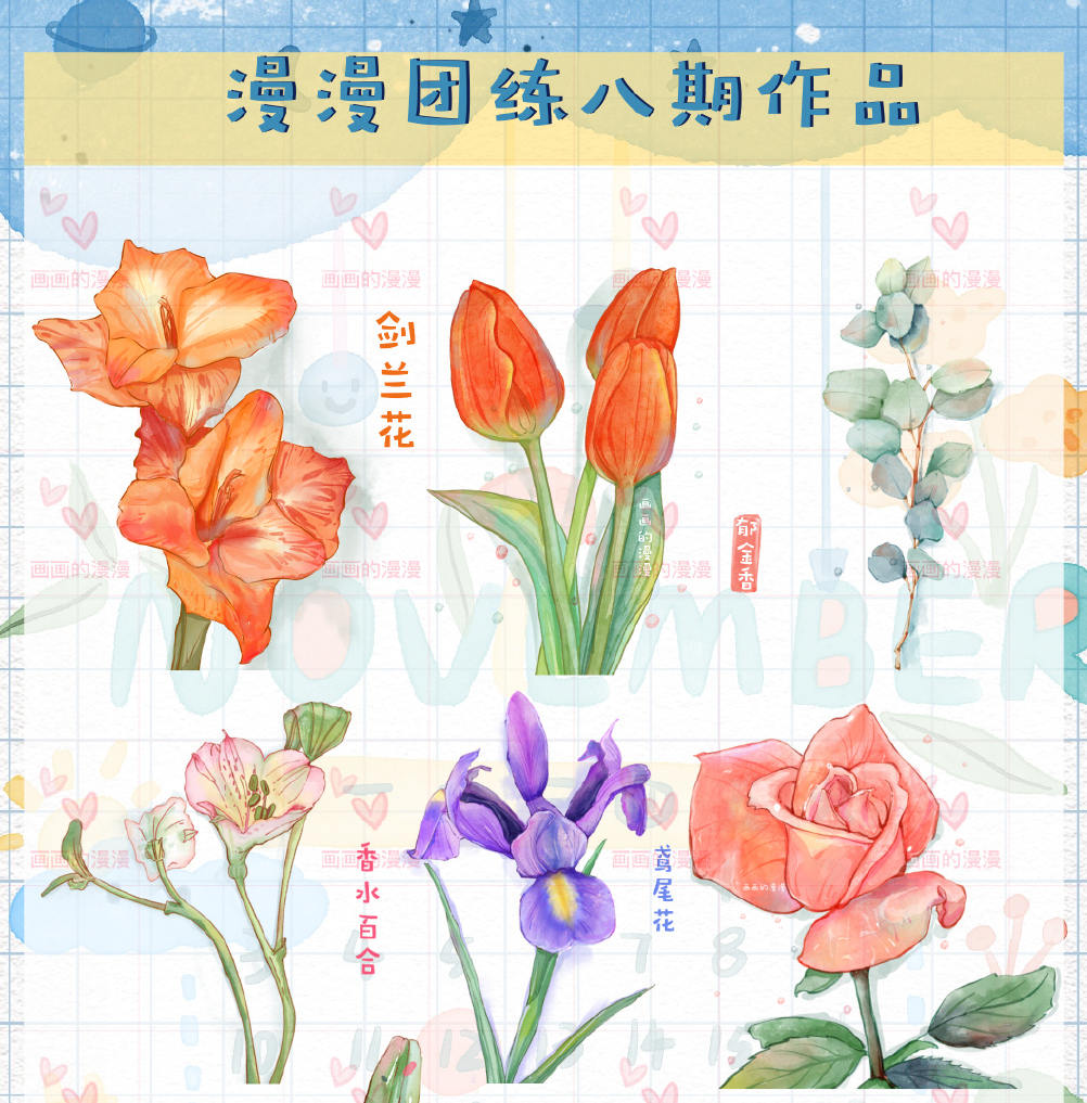 画画的漫漫水彩团练第八期2021年ipad插画课【超清】插图