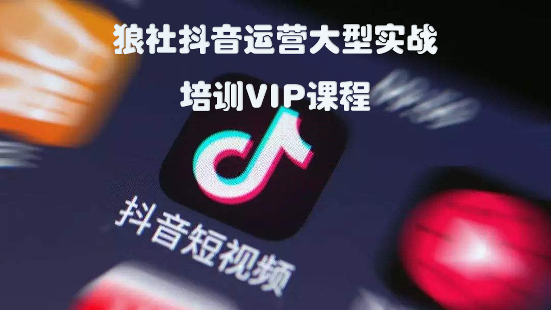 狼社抖音运营大型实战培训VIP课程插图