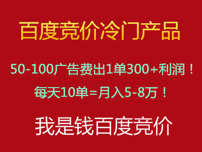 全套24期我是钱冷门竞价sem百度推广插图