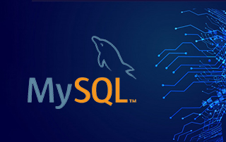 Mysql百万级数据量查询优化专题课程